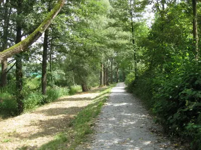 Waldbahnradweg Nr. 97