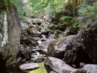 Gläserner Steig - 6. Etappe: Spiegelau - Grafenau
