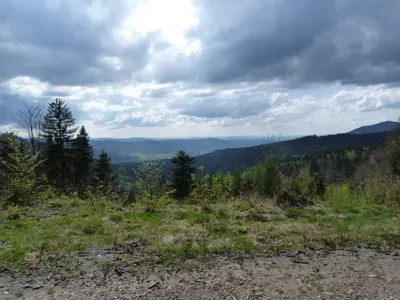ARBERLAND-Runde Arnbruck - Bayerisch Eisenstein Nr. 50