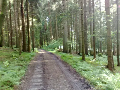 Panorama-Tour am Spitzberg Nr. 41