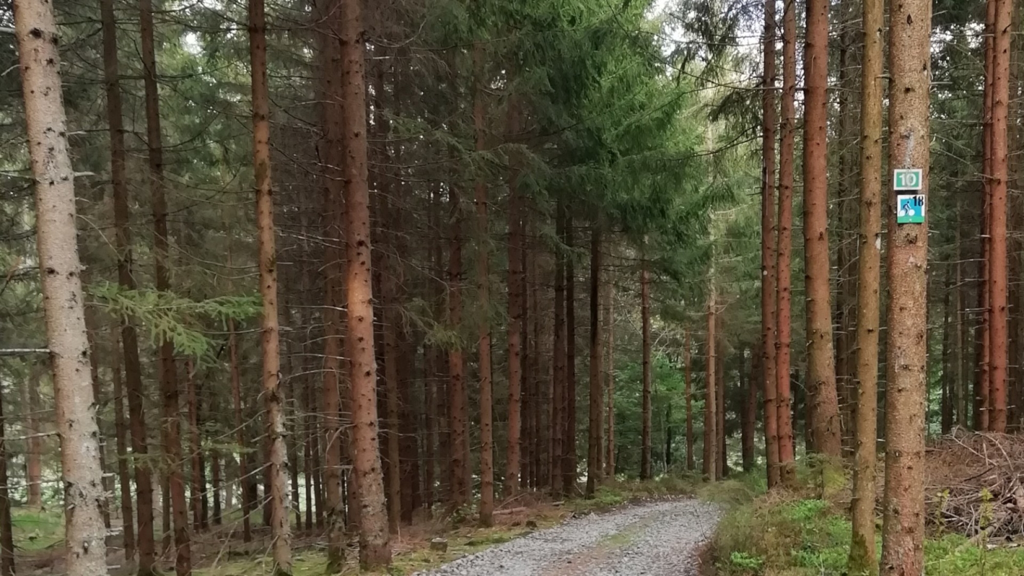 Abfahrt nach Reisachmühle