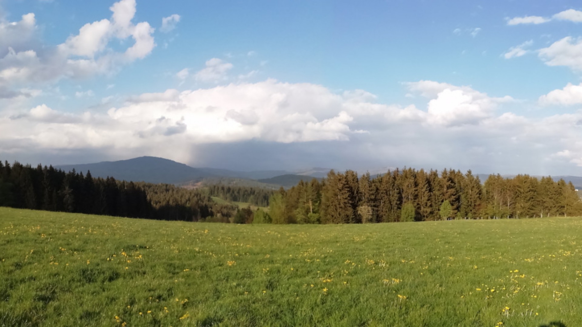 Blick zum Großen Falkenstein