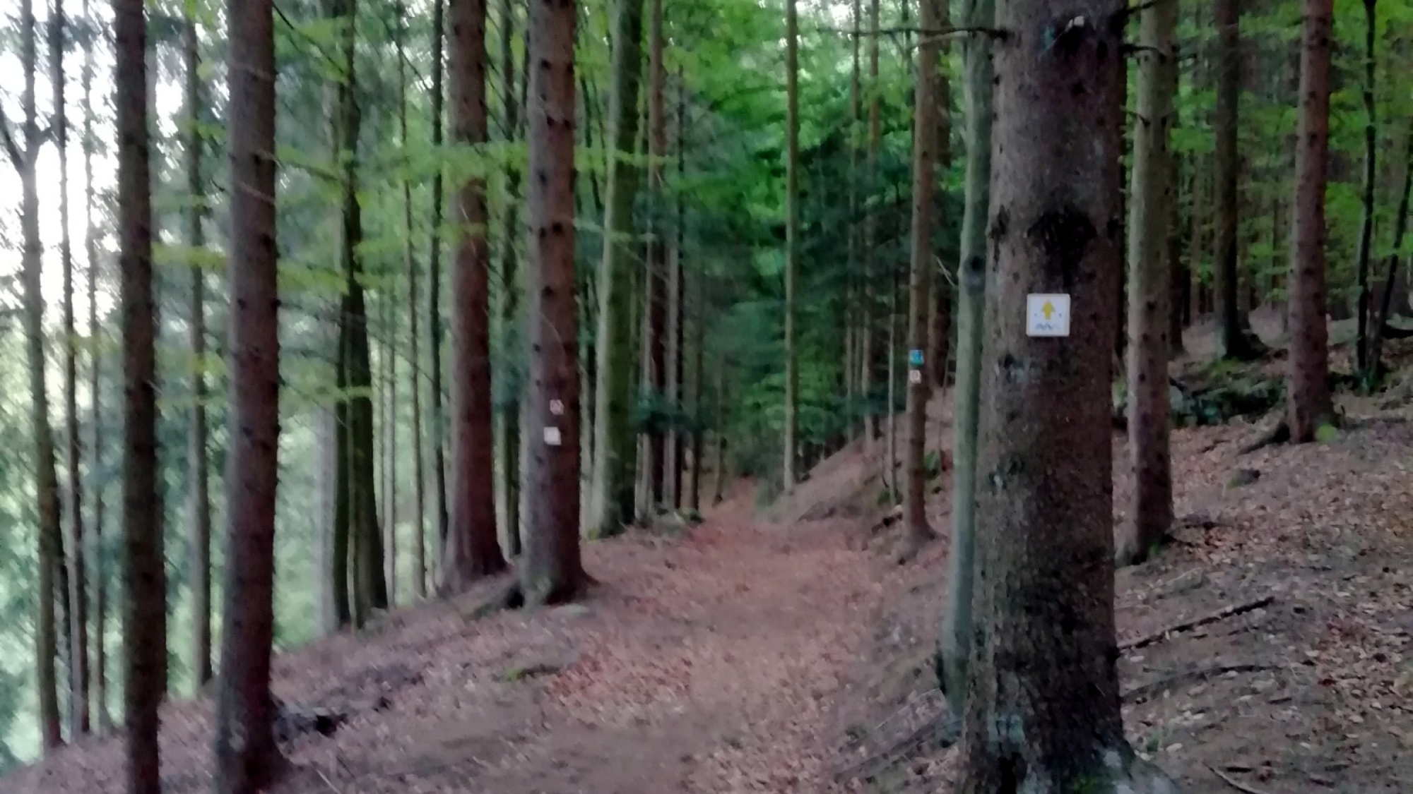 Abfahrt bei Waldmann Richtung Schöneck