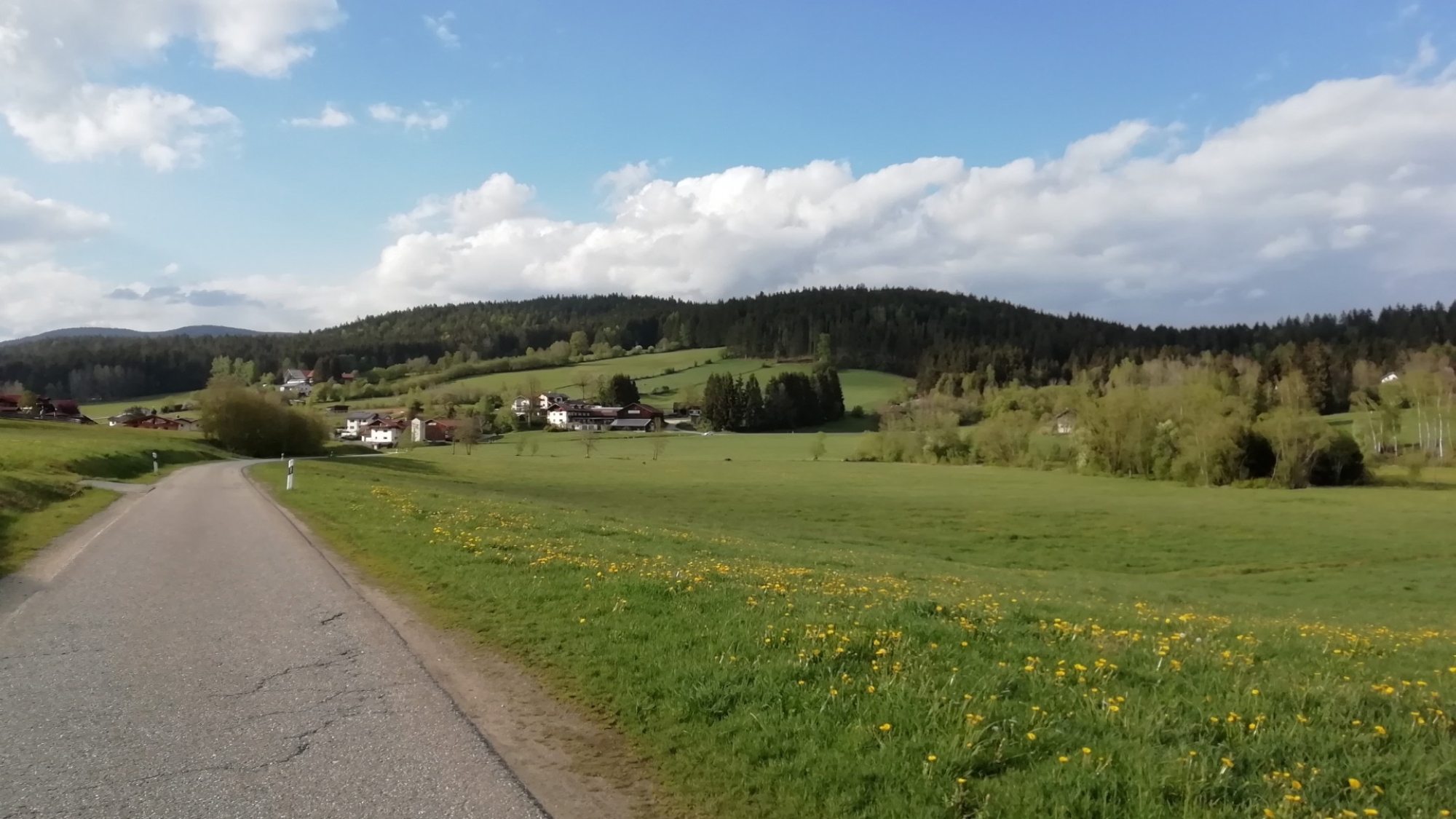 Blick auf Schwarzach - im Hintergrund Höhenzug Hennenkobel