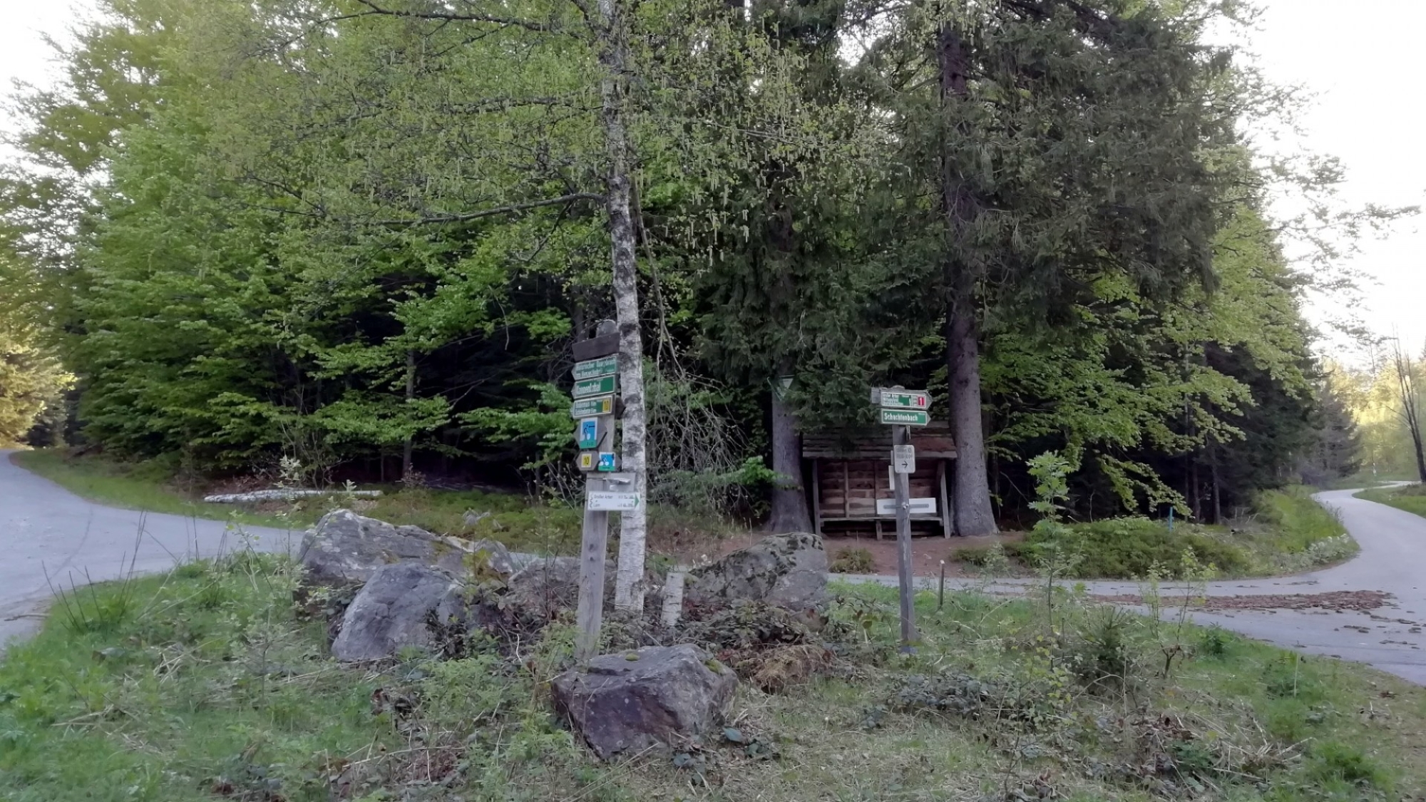 Schilderbaum an Kreuzung