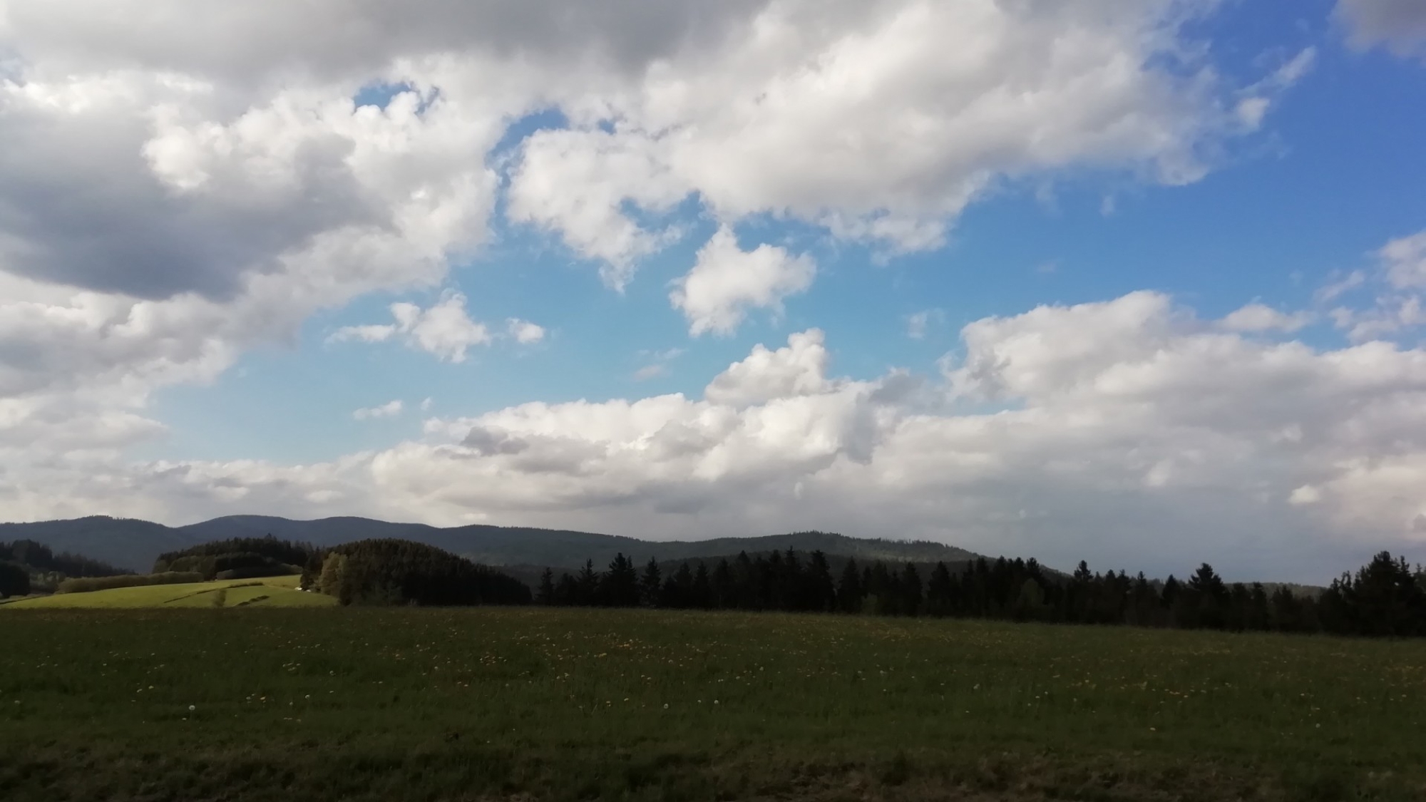 Blick von Langdorf zum Großen Falkenstein und Hennenkobel