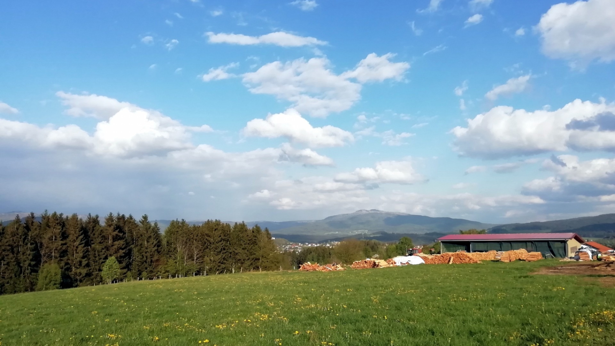 Blick in Richtung Zwiesel von Innenried aus