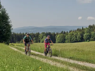 Große Zellertal (MTB / E-Bike)