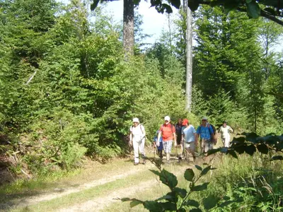 Hinterschmiding - Möselweg - W2