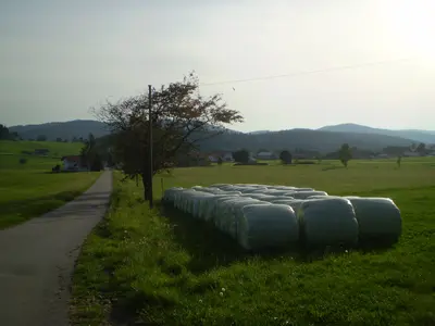 EB2 - Schwendreut - Windischklause - Holzwiese