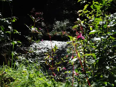 Mühlenweg, Nr. 3
