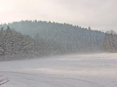 Ilztalloipe