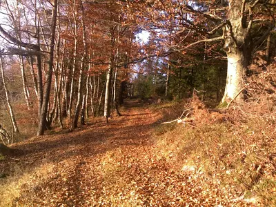 Zachenberger Steinbruchweg
