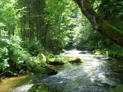 Flusswanderweg von Bayerisch Eisenstein nach Zwiesel