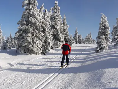 Bärnzeller Loipe