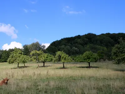 Fränkische Straße der Skulpturen (blauer Diagonalstrich)