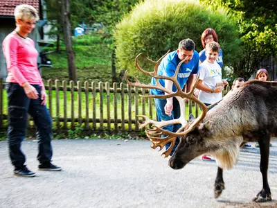 Durch den Wildpark Hundshaupten