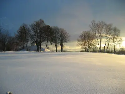 8 - Rundkurs Nationalparkloipe Guglöd