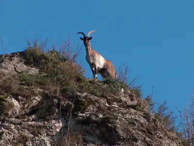 Kurat-Hollfelder-Gedächtnisweg (Naturlehrpfad)