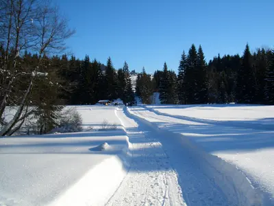 Dreikönigsloipe Mauth, 10 km