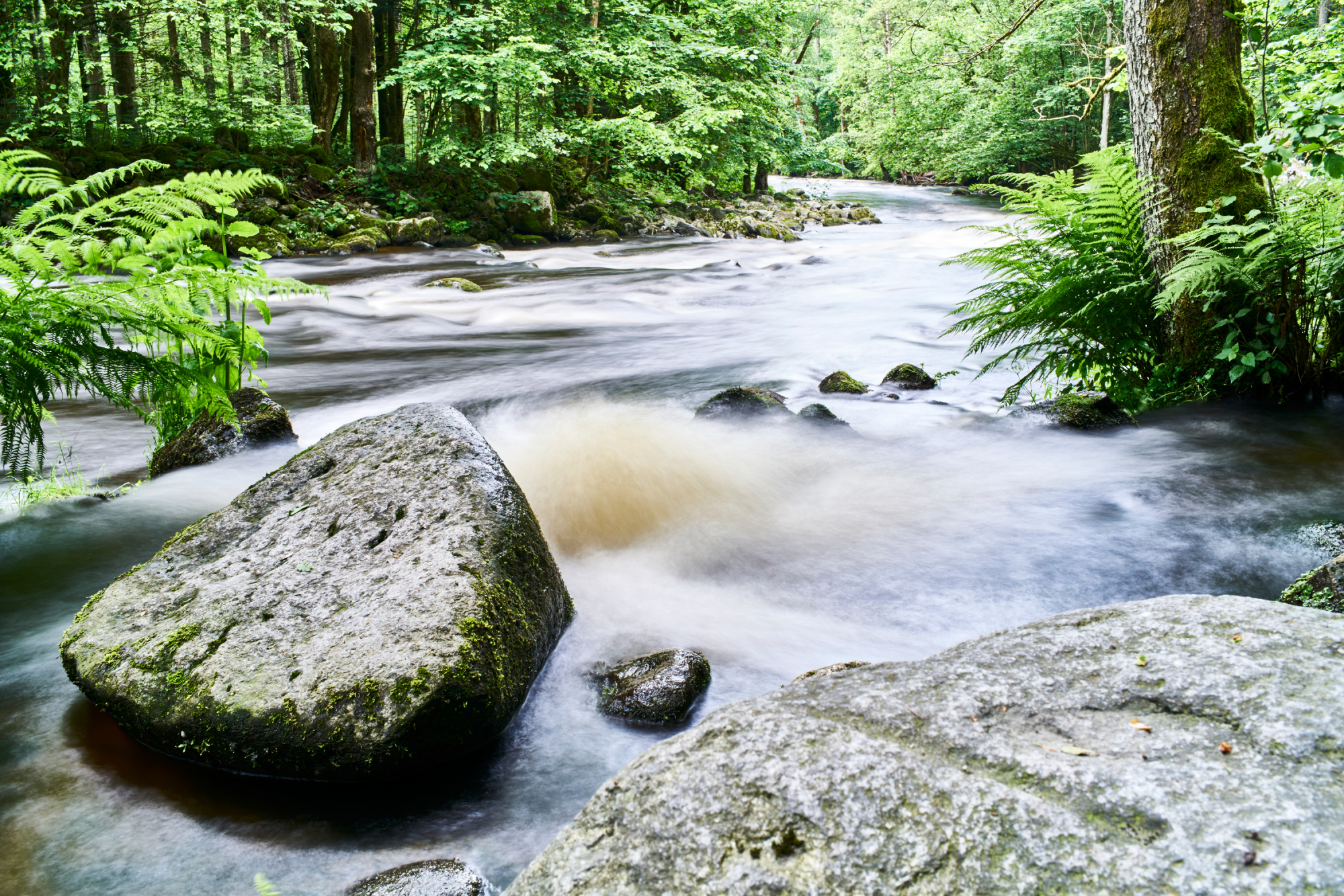 Bachlauf im ARBERLAND