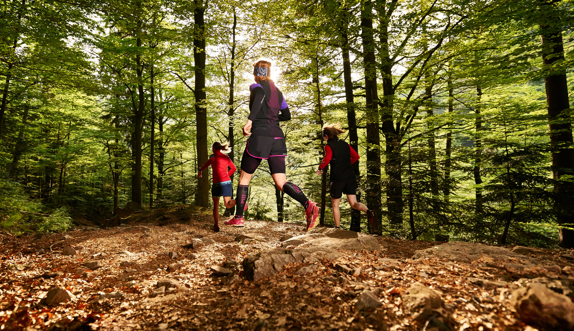Trailrunparadies ARBERLAND