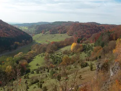 Bezaubernde Wacholderheide bei Wattendorf (Blühender Jura)