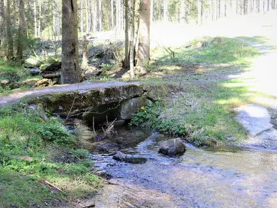 Ab51 Föhrenweg (Vierjahreszeiten)
