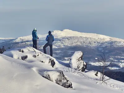 Bo81 Schneeschuh-Silberberg