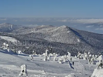 Bo84 Skitour Piste-Gr. Arber