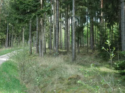 Fuchsbauweg
