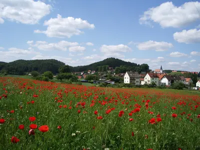 Plecher Schlaufe