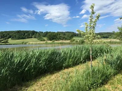 Forchheimer Örtlberg-Tour