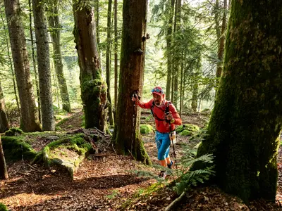 Arbersee Trail