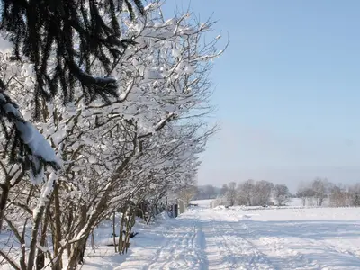 Panorama-Winterwanderung Nr. 7/7a