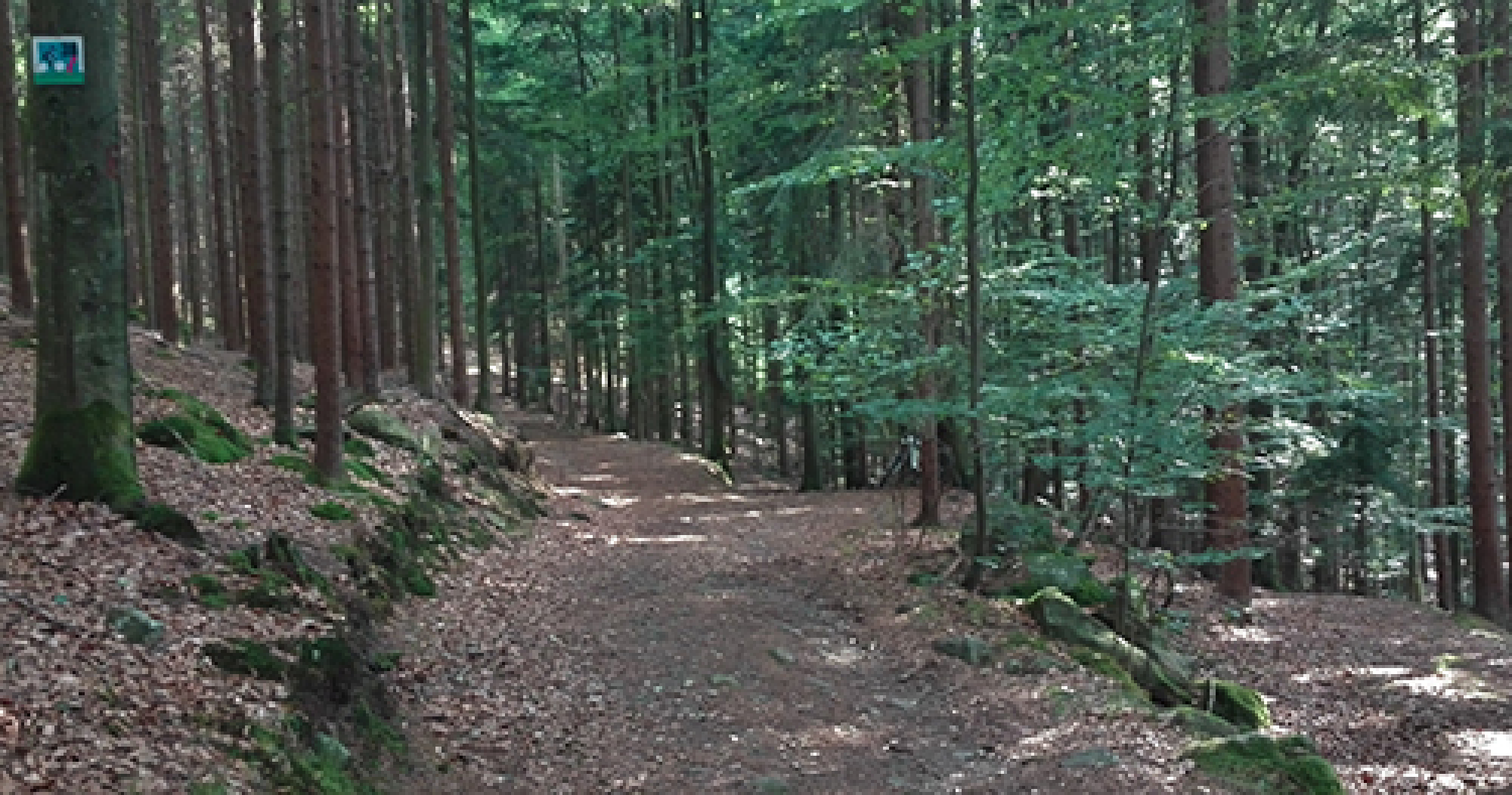 Abfahrt nach Asbach