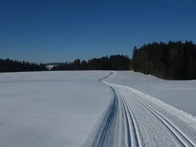 Altschönauer Loipe Nr. 54