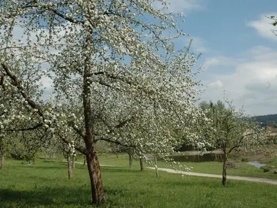 Salzleckenweg