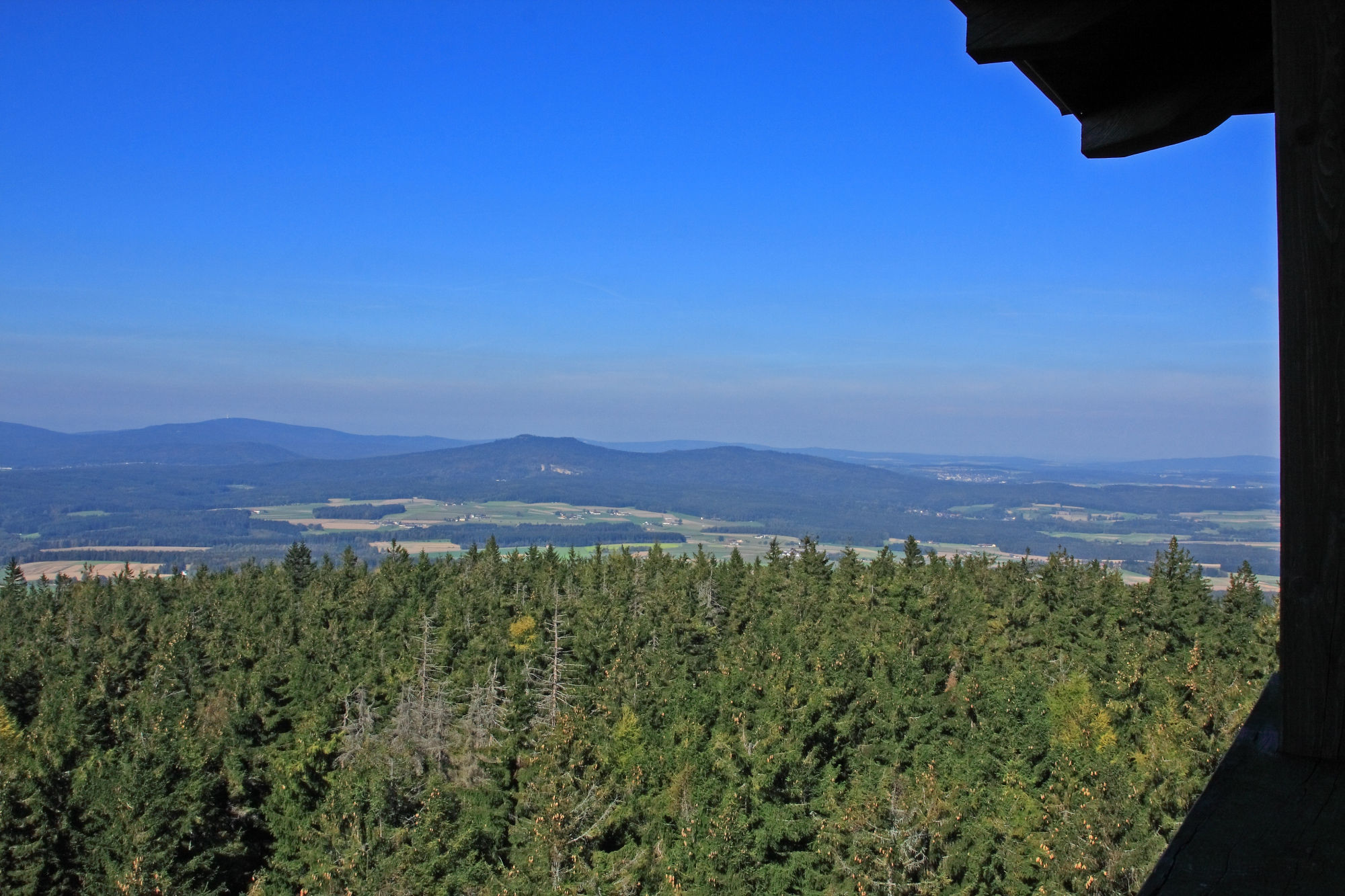Steinwald von der Platte
