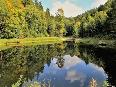 9 - Schanzbergrunde - Rundwanderweg Warmensteinach