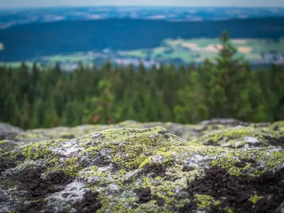 Mountainbike-Tour: Schneeberg