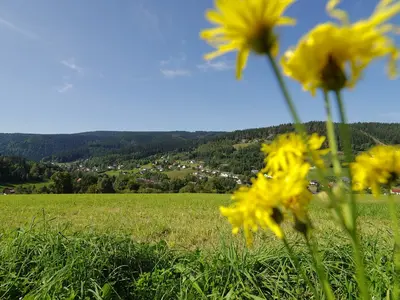 In die sagenhafte Königsheide