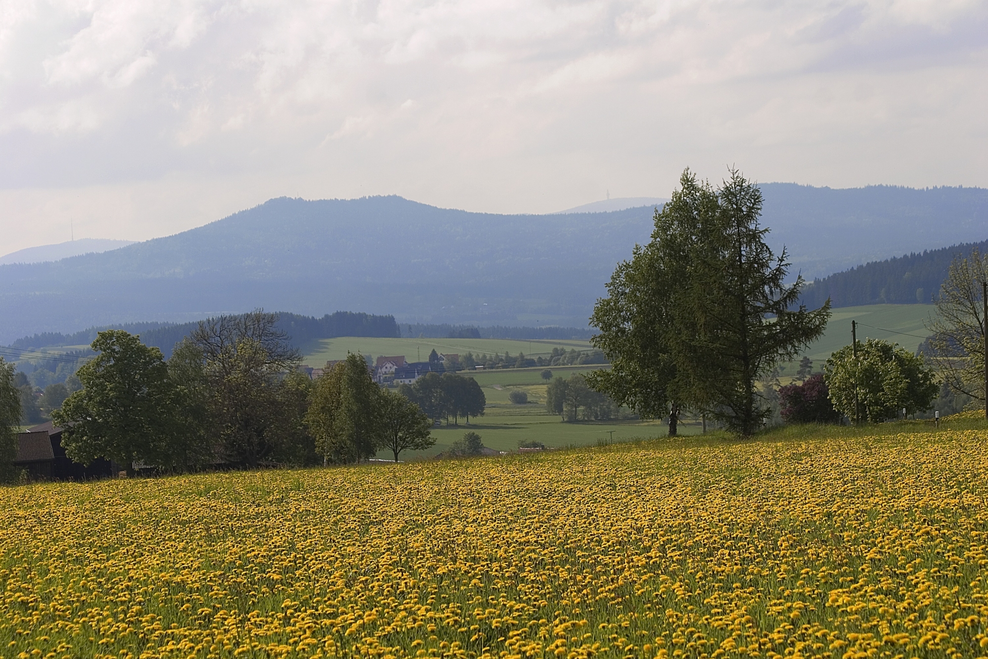 Kösseineblick