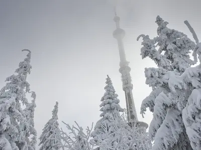Gipfelloipe (am Ochsenkopf)