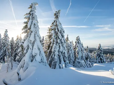 Panorama-Loipe Bärnreuth (bei Bad Berneck)