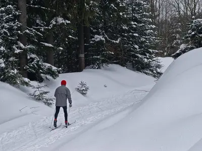 Loipe Rödelberg bei Gefrees