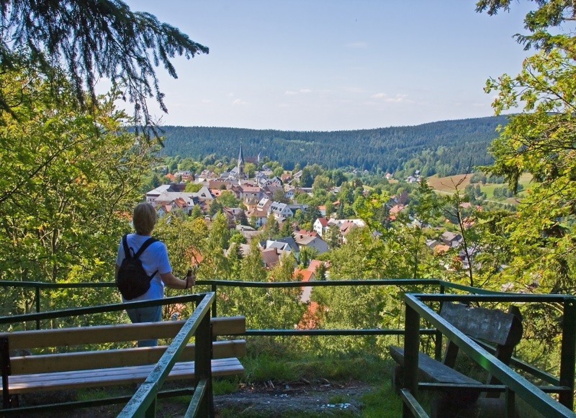 Auf dem Hügelfelsen