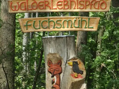 WaldErlebnispfad Fuchsmühl