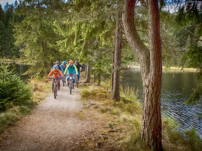 Mountainbike-Tour: Trail-Traum