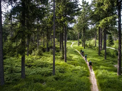Mountainbike-Tour: Trail-Flow